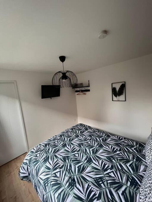 Beau Loft Proche Mont Saint Michel Jaccuzi Illimite En Plein Centre Apartment *
